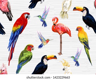 Vector hand drawn seamless pattern background of beautiful exotic tropical birds. Isolated on white background.