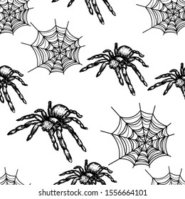 Vector hand drawn seamless pattern of spider and spiderweb on white background.