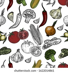 Vector hand drawn seamless pattern of vegetables in the engraving style isolated on white background.