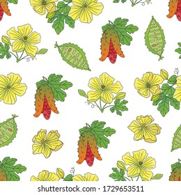 Vector hand drawn seamless pattern with medicinal plant momordica charantia on a white background