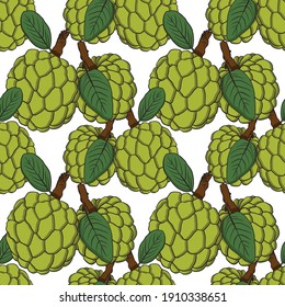 Vector hand drawn seamless pattern of cherimoya. Sugar apple pattern. Tropical objects. Use for restaurant, menu, smoothie bowl, market, store, party decoration, meal.