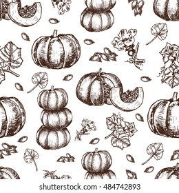 vector hand drawn seamless pattern sketch pumpkin, leaves, flowers and seeds. detailed autumn harvest halloween illustration