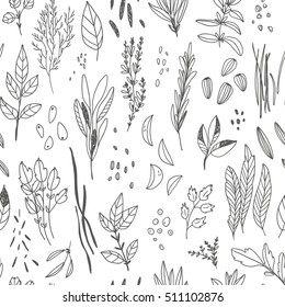 vector hand drawn seamless pattern with herbs