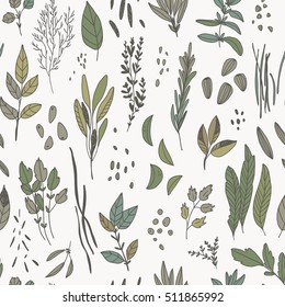 vector hand drawn seamless pattern with herbs