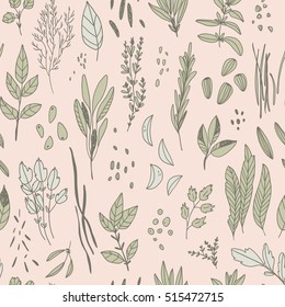 vector hand drawn seamless pattern with herbs