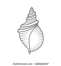 Vector hand drawn seashell. Seashell icon isolated on white background.