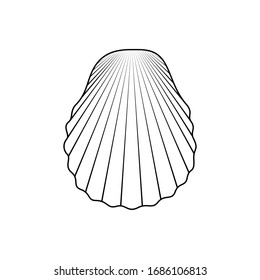 Vector hand drawn seashell. Seashell icon isolated on white background.