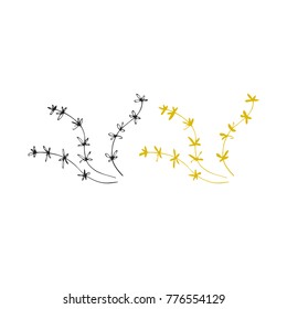 Vector hand drawn seaweeds. Isolated individual objects, algae. Sea clipart for greeting cards, weddings, stationery, surface design, scrapbooking. Part of a large sea collection.