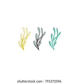 Vector hand drawn seaweeds. Isolated individual objects, algae. Sea clipart for greeting cards, weddings, stationery, surface design, scrapbooking. Part of a large sea collection.