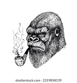 Vector hand drawn serious gorilla with pipe in his mouth. Ink engraved style