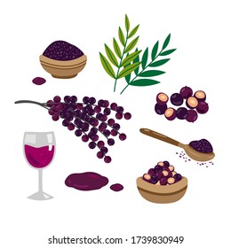 Vector hand drawn set of acai. Acai berries and branches, acai juice and acai powder. Superfood. Cartoon style illustration.