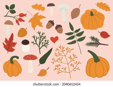 Vector hand drawn set of autumn things and design elements, leaves, pumpkins, twigs with berries, acorns and mushrooms. Fall bundle for greeting card, decorative stickers, design of page site, badges.