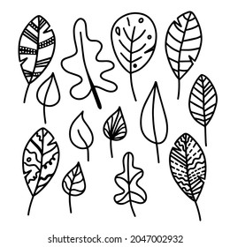 Vector hand drawn set of autumn leaves isolated on white background icon. Funny doodle fall leaves for seasonal design, textile, decoration for greeting card. Doodle coloring page for adult and kids.