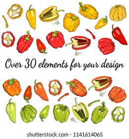 Vector hand drawn set of bell bulgarian peppers isolate on white. Organic sketched vegetarian objects. Use for restaurant, menu, grocery, market, store, party.