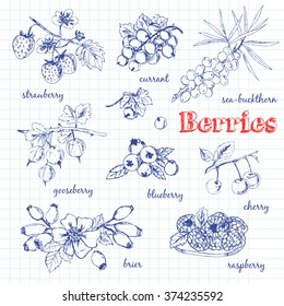 Vector hand drawn set with Berries. Vintage illustration. Retro collection with strawberry, currant, sea-buckthorn, gooseberry, blueberry, cherry, brier, raspberry.