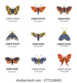 Vector hand drawn set of butterflies and moths. Colorful  collection with insects with text isolated on white background