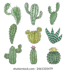 Vector hand drawn set of cacti. Liner and watercolor