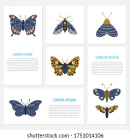 Vector hand drawn set of cards with butterflies and moths. Colorful collection with insects and text isolated on white background