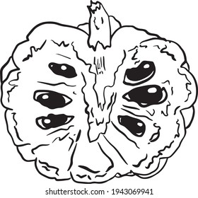 Vector hand drawn set of cherimoya. Sugar apple illustration. Delicious tropical vegetarian objects. Use for restaurant, menu, smoothie bowl, market, store, party decoration, meal.
