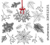 Vector hand drawn set with  Christmas decoration plants. Pine branches, Holly, Poinsettia,  Mistletoe. Isolated on white background.
