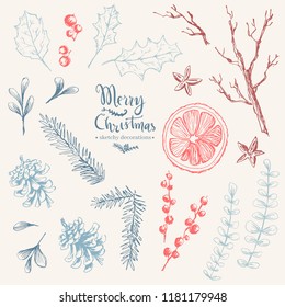 Vector hand drawn set of Christmas natural herbal elements. Mistletoe, citrus and fir-tree branches. Sketchy style.
