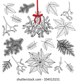 Vector Hand Drawn Set With  Christmas Decoration Plants. Pine Branches, Holly, Poinsettia,  Mistletoe. Isolated On White Background.
