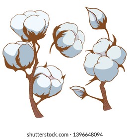 Vector Hand Drawn Set Cotton Branches Stock Vector (Royalty Free ...