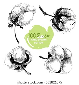 Vector hand drawn set of cotton branches. 100% eco. Cotton flower buds in vintage engraved style. Botanical art isolated on white background. Use for print, poster, decoration and other design. 