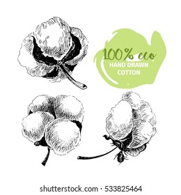 Vector hand drawn set of cotton branches. 100% eco. Cotton flower buds in vintage engraved style. Botanical art isolated on white background. Use for print, poster, decoration and other design. 