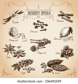 Vector  Hand Drawn Set With Dessert Spices. Vintage Illustration. Retro Collection With Vanilla, Poppy, Orange Zest, Lemon Peel, Cocoa, Clove Spice, Anise And Mint Leafs.