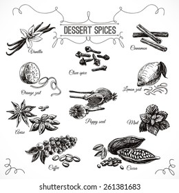 Vector Hand Drawn Set With Dessert Spices. Vintage Illustration. Retro Collection With Vanilla, Poppy, Orange Zest, Lemon Peel, Cocoa, Clove Spice, Anise And Mint Leafs.