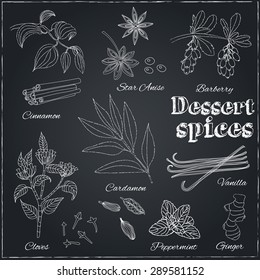 Vector hand drawn set with Dessert Spices. Vintage illustration. Retro collection with Vanilla, cinnamon, barberry, cardamom, vanilla, cloves, peppermint, star anise and ginger.