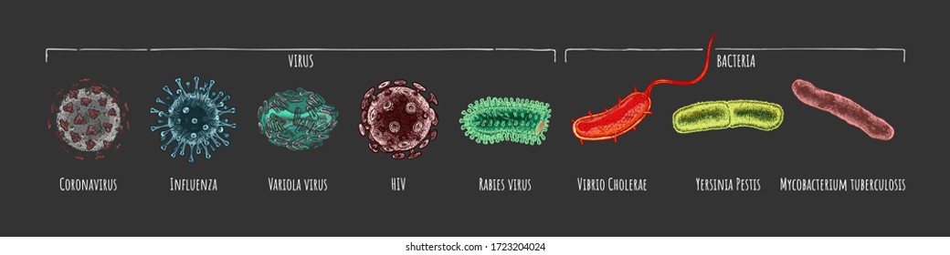 Vector hand drawn set of different virus and bacteria: Coronavirus, Influenza, Variola, HIV, Rabies, Vibrio Сholerae, Yersinia Pestis, Mycobacterium tuberculosis. illustration in vintage engraved styl