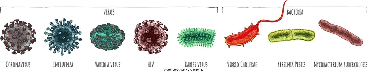 Vector hand drawn set of different virus and bacteria: Coronavirus, Influenza, Variola, HIV, Rabies, Vibrio Сholerae, Yersinia Pestis, Mycobacterium tuberculosis. illustration in vintage engraved styl