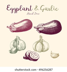 Vector hand drawn set of eggplant and garlic. Herbs and spices sketch illustrations