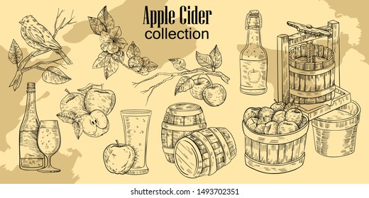 Vector hand drawn set in engraving style of apple branches, flowers, press, cask, apples, bottle with glass and bird. Vintage design for apple cider and juice