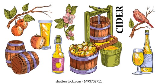 Vector hand drawn set in engraving style of apple branches, flowers, press, cask, apples, bottle with glass and bird. Colorful design for apple cider and juice. Isolated on white