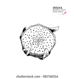 Vector hand drawn set of exotic fruits. Isolated pitaya. Engraved art dragon fruit. Delicious tropical vegetarian objects. for restaurant, meal, market, store, menu, party decoration, smoothie bowls.