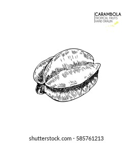 Vector hand drawn set of exotic fruits. Isolated carambola. Engraved art. Delicious tropical vegetarian objects. Use for restaurant, meal, market, store, menu, party decoration, smoothie bowls