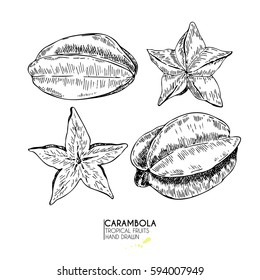 Vector hand drawn set of exotic fruits. Isolated carambola. Engraved art. Delicious tropical vegetarian objects. Use for restaurant, menu, smoothie bowl, market, store, party decoration, meal