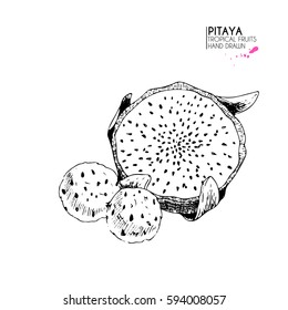 Vector hand drawn set of exotic fruits. Isolated pitaya. Engraved art dragon fruit. Delicious tropical vegetarian objects. for restaurant, meal, market, store, menu, party decoration, smoothie bowls.