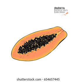 Vector hand drawn set of exotic fruits. Isolated papaya. Engraved colored art. Delicious tropical vegetarian objects. Use for restaurant, meal, market, store, menu, party decoration, smoothie bowls