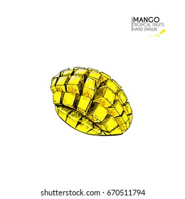 Vector hand drawn set of exotic fruits. Isolated mango cubes. Engraved colored art. Delicious tropical vegetarian objects. for restaurant, menu, smoothie bowl, market, store, party decoration, meal