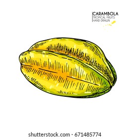 Vector hand drawn set of exotic fruits. Isolated whole carambola. Engraved colored art. Delicious tropical vegetarian objects. restaurant, menu, smoothie bowl, party decoration, meal