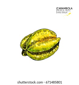 Vector hand drawn set of exotic fruits. Isolated whole carambola. Engraved colored art. Delicious tropical vegetarian objects. restaurant, menu, smoothie bowl, party decoration, meal