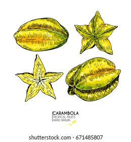 Vector hand drawn set of exotic fruits. Isolated carambola slices, and whole. Engraved colored art. Delicious tropical vegetarian objects. restaurant, menu, smoothie bowl, party decoration, meal