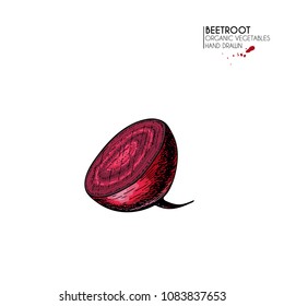 Vector hand drawn set of farm vegetables. Isolated beetroot with haulm. Engraved colored art. Organic sketched vegetarian objects. Use for restaurant, menu, grocery, market, store, party.