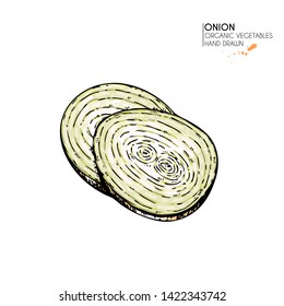 Vector hand drawn set of farm vegetables. Isolated whole, sliced onion and rings. Engraved colored art. Organic vegetarian food. Use for restaurant, menu, grocery, market, store, party, meal
