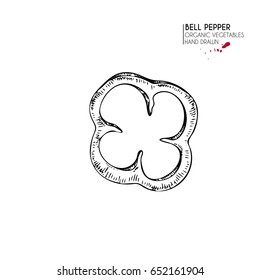 Vector hand drawn set of farm vegetables. Isolated  bell pepper rings. Engraved art. Organic sketched vegetarian objects. Use for restaurant, menu, grocery, market, store, party, meal