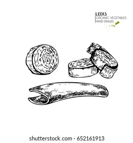 Vector hand drawn set of farm vegetables. Isolated leek onion slices. Engraved art. Organic sketched vegetarian objects. Use for restaurant, menu, grocery, market, store, party, meal